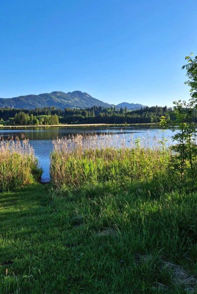 Am Ufer des Attlesee