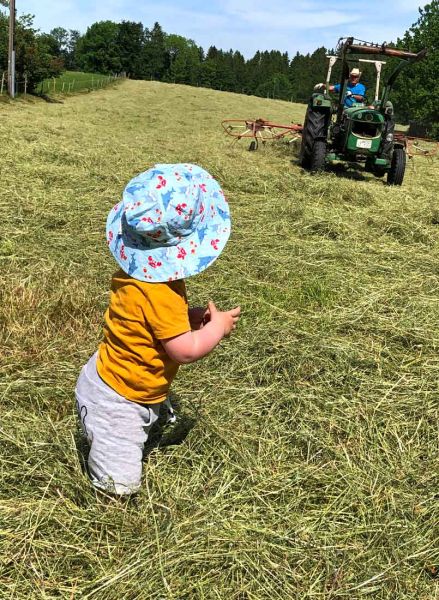 Dem Traktor beim Heu machen zusehen