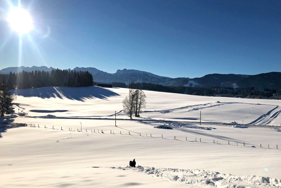 Winterwonderland in Nesselwang im Allgäu