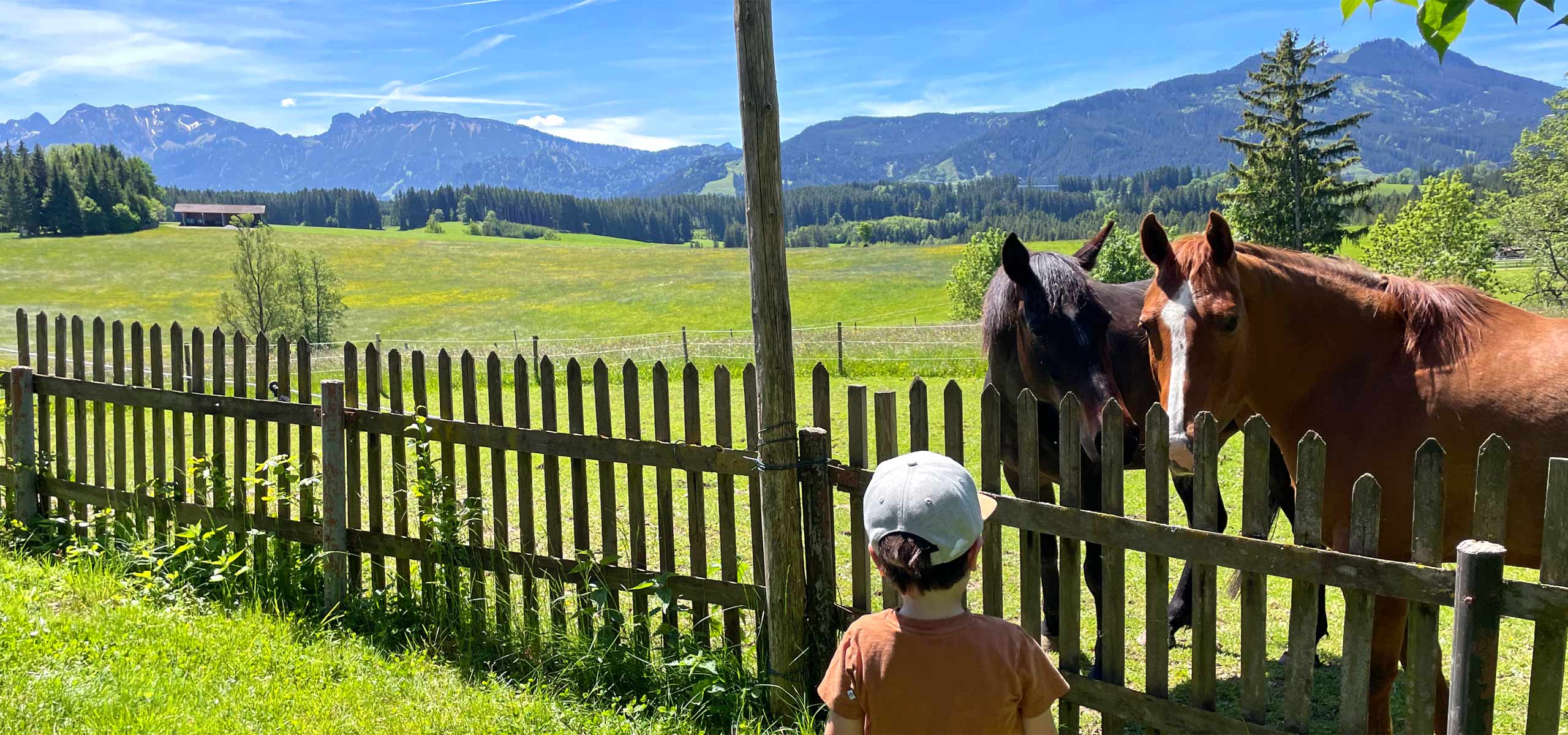 Alpen Panoramahof, Herzlich willkommen im Ostallgäu, Urlaub auf dem Ferienhof in Nesselwang